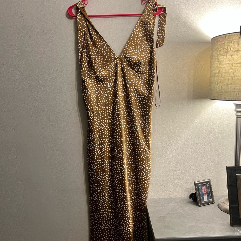 Tan and Black Sleeveless Slip Dress for a Night Out